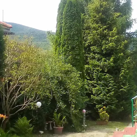 Проживание в семье Kulcsoshaz Vendeghaz *